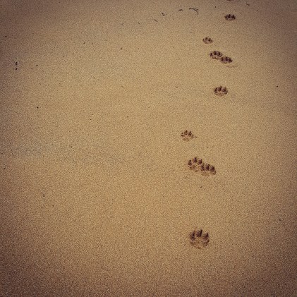 IMG_20171229_085929_799