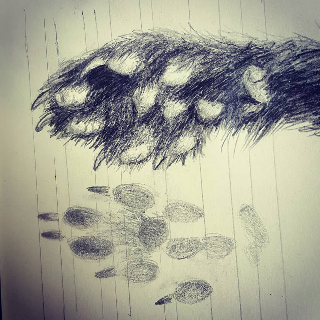 IMG_20180504_171232_300