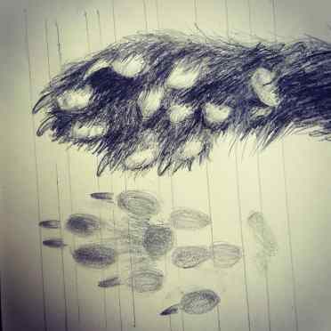 IMG_20180504_171232_300